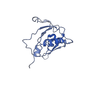 25420_7st6_j_v1-0
Pre translocation, non-rotated 70S ribosome (Structure I)