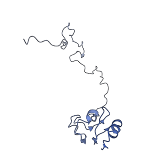 25420_7st6_l_v1-0
Pre translocation, non-rotated 70S ribosome (Structure I)