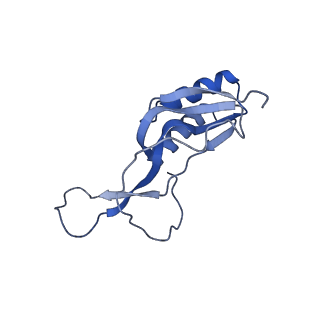 25420_7st6_m_v1-0
Pre translocation, non-rotated 70S ribosome (Structure I)