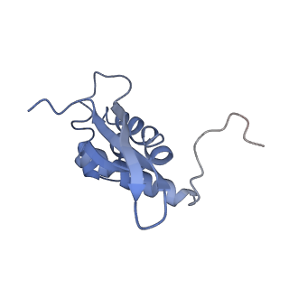 25420_7st6_n_v1-0
Pre translocation, non-rotated 70S ribosome (Structure I)