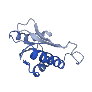 25420_7st6_o_v1-0
Pre translocation, non-rotated 70S ribosome (Structure I)