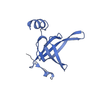 25420_7st6_p_v1-0
Pre translocation, non-rotated 70S ribosome (Structure I)