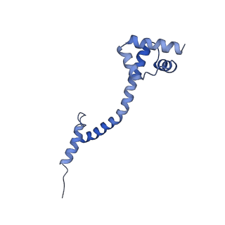 25420_7st6_q_v1-0
Pre translocation, non-rotated 70S ribosome (Structure I)