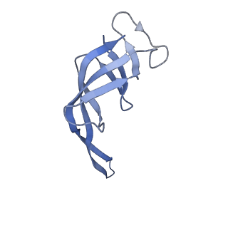 25420_7st6_r_v1-0
Pre translocation, non-rotated 70S ribosome (Structure I)