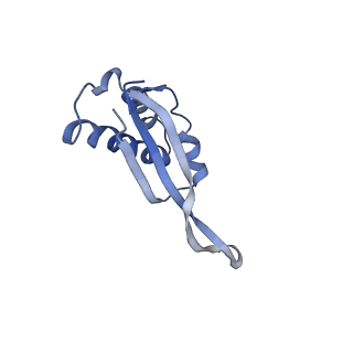 25420_7st6_s_v1-0
Pre translocation, non-rotated 70S ribosome (Structure I)