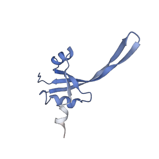 25420_7st6_t_v1-0
Pre translocation, non-rotated 70S ribosome (Structure I)