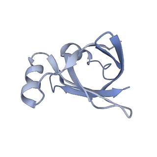 25420_7st6_v_v1-0
Pre translocation, non-rotated 70S ribosome (Structure I)