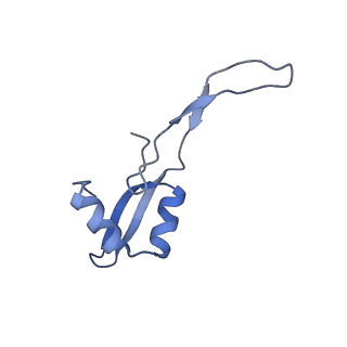 25420_7st6_x_v1-0
Pre translocation, non-rotated 70S ribosome (Structure I)