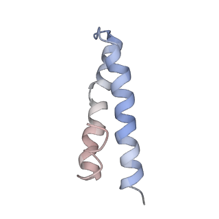 25420_7st6_y_v1-0
Pre translocation, non-rotated 70S ribosome (Structure I)