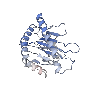 25427_7stf_A_v1-1
Structure of KRAS G12V/HLA-A*03:01 in complex with antibody fragment V2