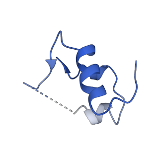 25428_7sth_D_v1-2
Full-length insulin receptor bound with unsaturated insulin WT (2 insulin bound) symmetric conformation