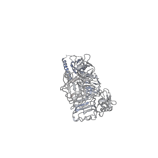 25429_7sti_A_v1-2
Full-length insulin receptor bound with unsaturated insulin WT (1 insulin bound) asymmetric conformation