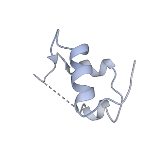 25429_7sti_C_v1-2
Full-length insulin receptor bound with unsaturated insulin WT (1 insulin bound) asymmetric conformation
