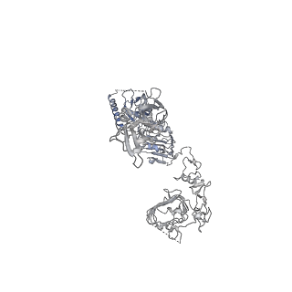 25430_7stj_A_v1-2
Full-length insulin receptor bound with unsaturated insulin WT (2 insulins bound) asymmetric conformation (Conformation 1)