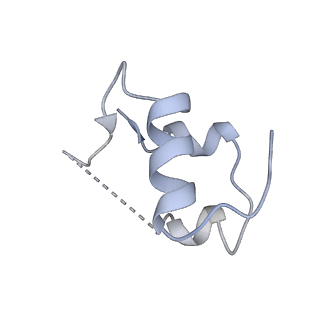 25430_7stj_C_v1-2
Full-length insulin receptor bound with unsaturated insulin WT (2 insulins bound) asymmetric conformation (Conformation 1)