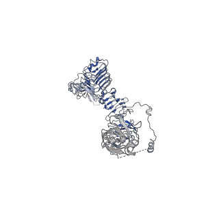25431_7stk_B_v1-2
Full-length insulin receptor bound with unsaturated insulin WT (2 insulins bound) asymmetric conformation (Conformation 2)
