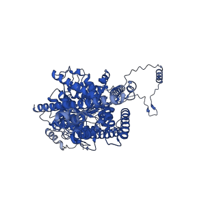 25432_7stl_A_v1-1
Chitin Synthase 2 from Candida albicans at the apo state