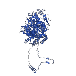 25433_7stm_A_v1-1
Chitin Synthase 2 from Candida albicans bound to UDP-GlcNAc