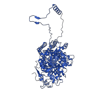 25433_7stm_B_v1-1
Chitin Synthase 2 from Candida albicans bound to UDP-GlcNAc