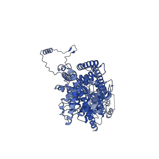 25435_7sto_B_v1-1
Chitin Synthase 2 from Candida albicans bound to polyoxin D