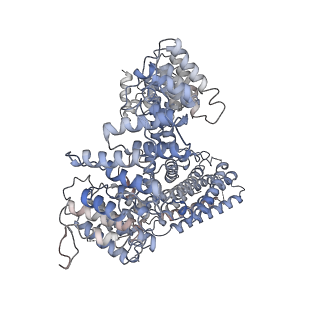 25438_7stx_B_v1-1
Cryo-EM structure of human NatB in complex with CoA-Alpha-Synuclein