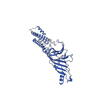 40754_8st1_A_v1-0
The 3alpha2beta stoichiometry of human alpha4beta2 nicotinic acetylcholine receptor in complex with acetylcholine and calcium