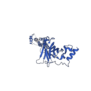 40754_8st1_C_v1-0
The 3alpha2beta stoichiometry of human alpha4beta2 nicotinic acetylcholine receptor in complex with acetylcholine and calcium