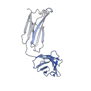 40754_8st1_F_v1-0
The 3alpha2beta stoichiometry of human alpha4beta2 nicotinic acetylcholine receptor in complex with acetylcholine and calcium