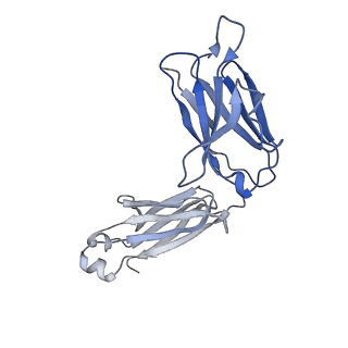 40754_8st1_J_v1-0
The 3alpha2beta stoichiometry of human alpha4beta2 nicotinic acetylcholine receptor in complex with acetylcholine and calcium