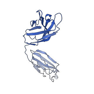 40754_8st1_K_v1-0
The 3alpha2beta stoichiometry of human alpha4beta2 nicotinic acetylcholine receptor in complex with acetylcholine and calcium