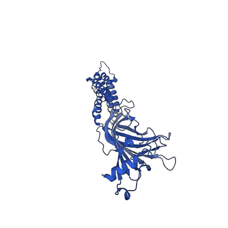 40755_8st2_C_v1-0
The 3alpha2beta stoichiometry of human alpha4beta2 nicotinic acetylcholine receptor in complex with acetylcholine