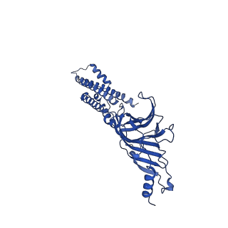 40755_8st2_D_v1-0
The 3alpha2beta stoichiometry of human alpha4beta2 nicotinic acetylcholine receptor in complex with acetylcholine