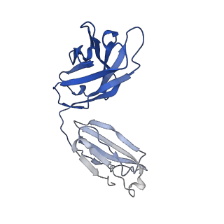 40755_8st2_G_v1-0
The 3alpha2beta stoichiometry of human alpha4beta2 nicotinic acetylcholine receptor in complex with acetylcholine