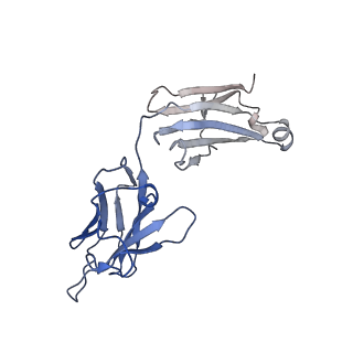 40755_8st2_J_v1-0
The 3alpha2beta stoichiometry of human alpha4beta2 nicotinic acetylcholine receptor in complex with acetylcholine