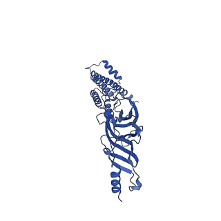 40756_8st3_A_v1-0
The 2alpha3beta stoichiometry of human alpha4beta2 nicotinic acetylcholine receptor in complex with acetylcholine and calcium