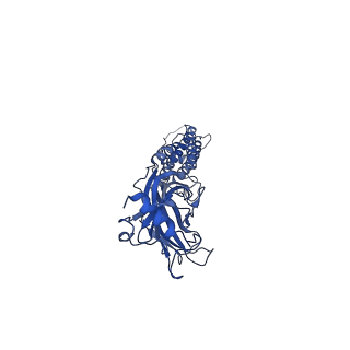 40756_8st3_D_v1-0
The 2alpha3beta stoichiometry of human alpha4beta2 nicotinic acetylcholine receptor in complex with acetylcholine and calcium