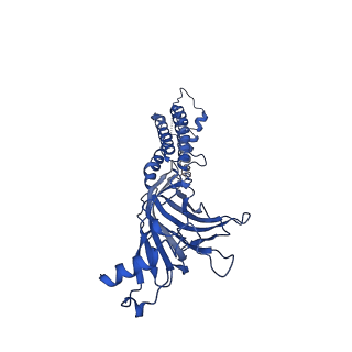 40756_8st3_E_v1-0
The 2alpha3beta stoichiometry of human alpha4beta2 nicotinic acetylcholine receptor in complex with acetylcholine and calcium