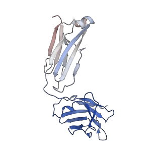 40756_8st3_F_v1-0
The 2alpha3beta stoichiometry of human alpha4beta2 nicotinic acetylcholine receptor in complex with acetylcholine and calcium