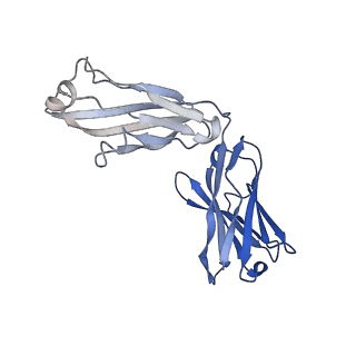 40756_8st3_G_v1-0
The 2alpha3beta stoichiometry of human alpha4beta2 nicotinic acetylcholine receptor in complex with acetylcholine and calcium