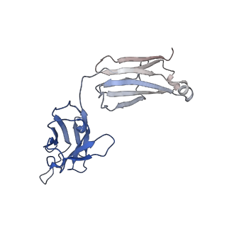 40756_8st3_H_v1-0
The 2alpha3beta stoichiometry of human alpha4beta2 nicotinic acetylcholine receptor in complex with acetylcholine and calcium