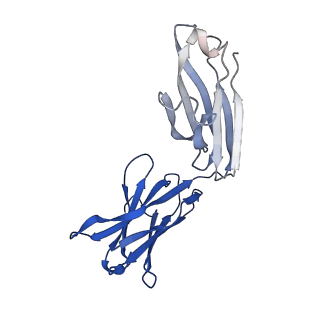 40756_8st3_I_v1-0
The 2alpha3beta stoichiometry of human alpha4beta2 nicotinic acetylcholine receptor in complex with acetylcholine and calcium