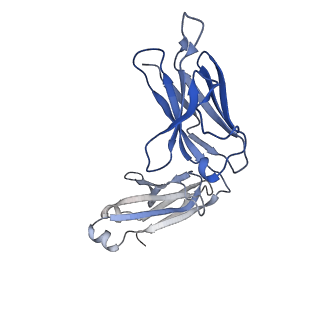 40756_8st3_J_v1-0
The 2alpha3beta stoichiometry of human alpha4beta2 nicotinic acetylcholine receptor in complex with acetylcholine and calcium