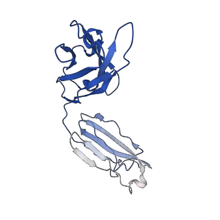 40756_8st3_K_v1-0
The 2alpha3beta stoichiometry of human alpha4beta2 nicotinic acetylcholine receptor in complex with acetylcholine and calcium