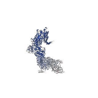 10312_6sue_B_v1-2
Structure of Photorhabdus luminescens Tc holotoxin pore, Mutation TccC3-D651A