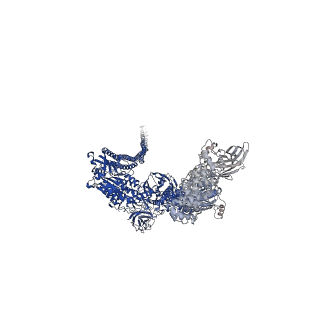 10312_6sue_C_v1-2
Structure of Photorhabdus luminescens Tc holotoxin pore, Mutation TccC3-D651A