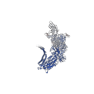 10312_6sue_D_v1-2
Structure of Photorhabdus luminescens Tc holotoxin pore, Mutation TccC3-D651A