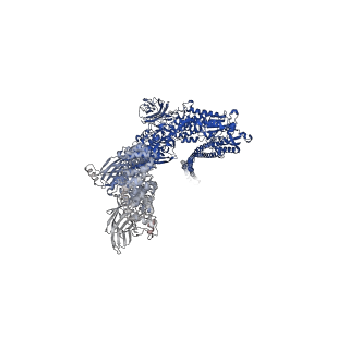 10313_6suf_A_v1-2
Structure of Photorhabdus luminescens Tc holotoxin pore