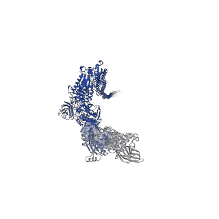 10313_6suf_B_v1-2
Structure of Photorhabdus luminescens Tc holotoxin pore