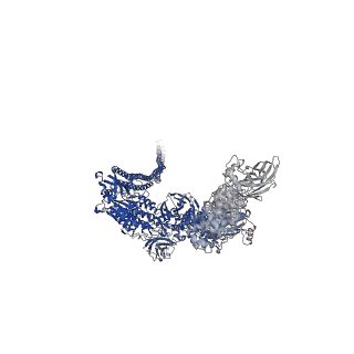 10313_6suf_C_v1-2
Structure of Photorhabdus luminescens Tc holotoxin pore