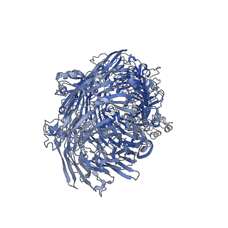10313_6suf_F_v1-2
Structure of Photorhabdus luminescens Tc holotoxin pore